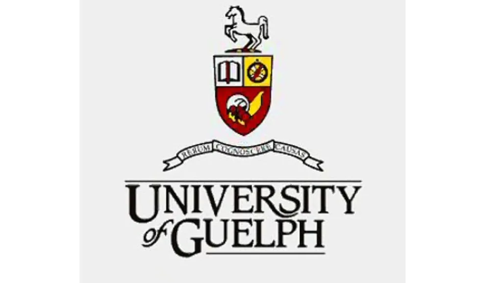 3 Canadian University Scholarships for International Students | JapaCorner